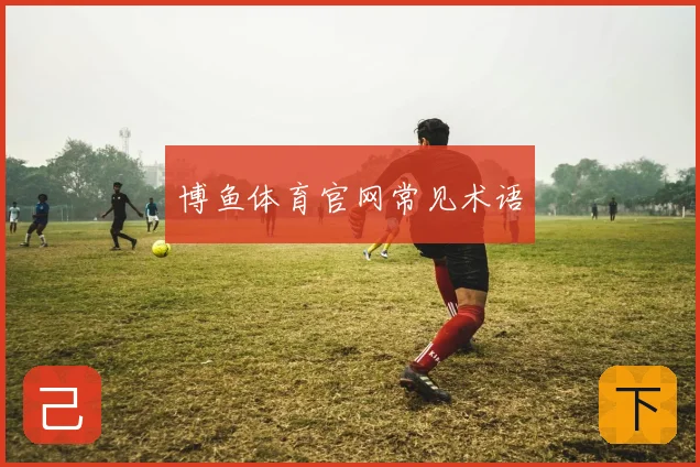 博鱼体育官网常见术语